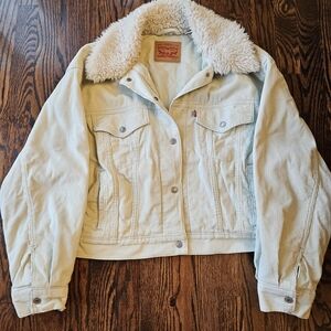 Levi's Baby Cropped Corduroy Sherpa Trucker Jacket in the Meadow Mist green